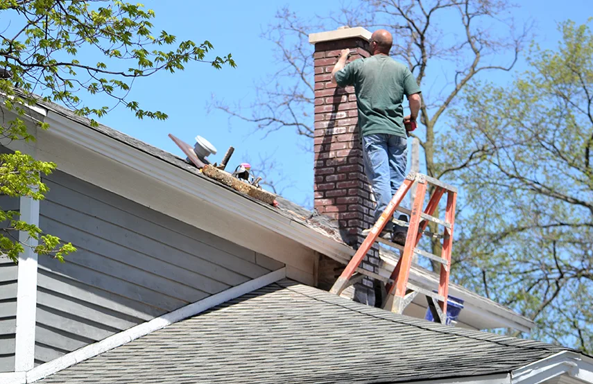 Chimney & Fireplace Inspections Services in Macon, GA